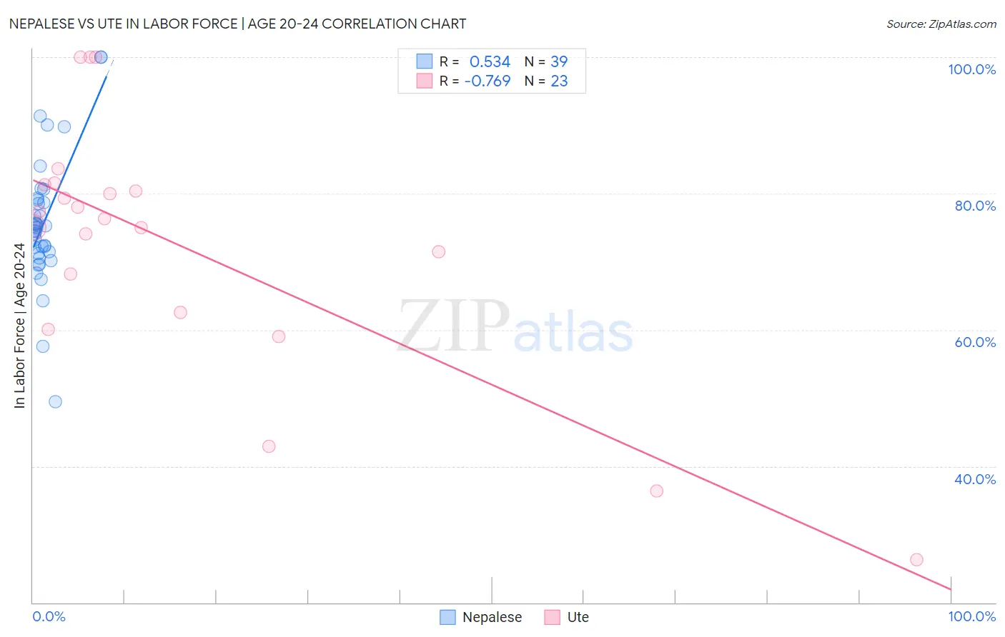 Nepalese vs Ute In Labor Force | Age 20-24