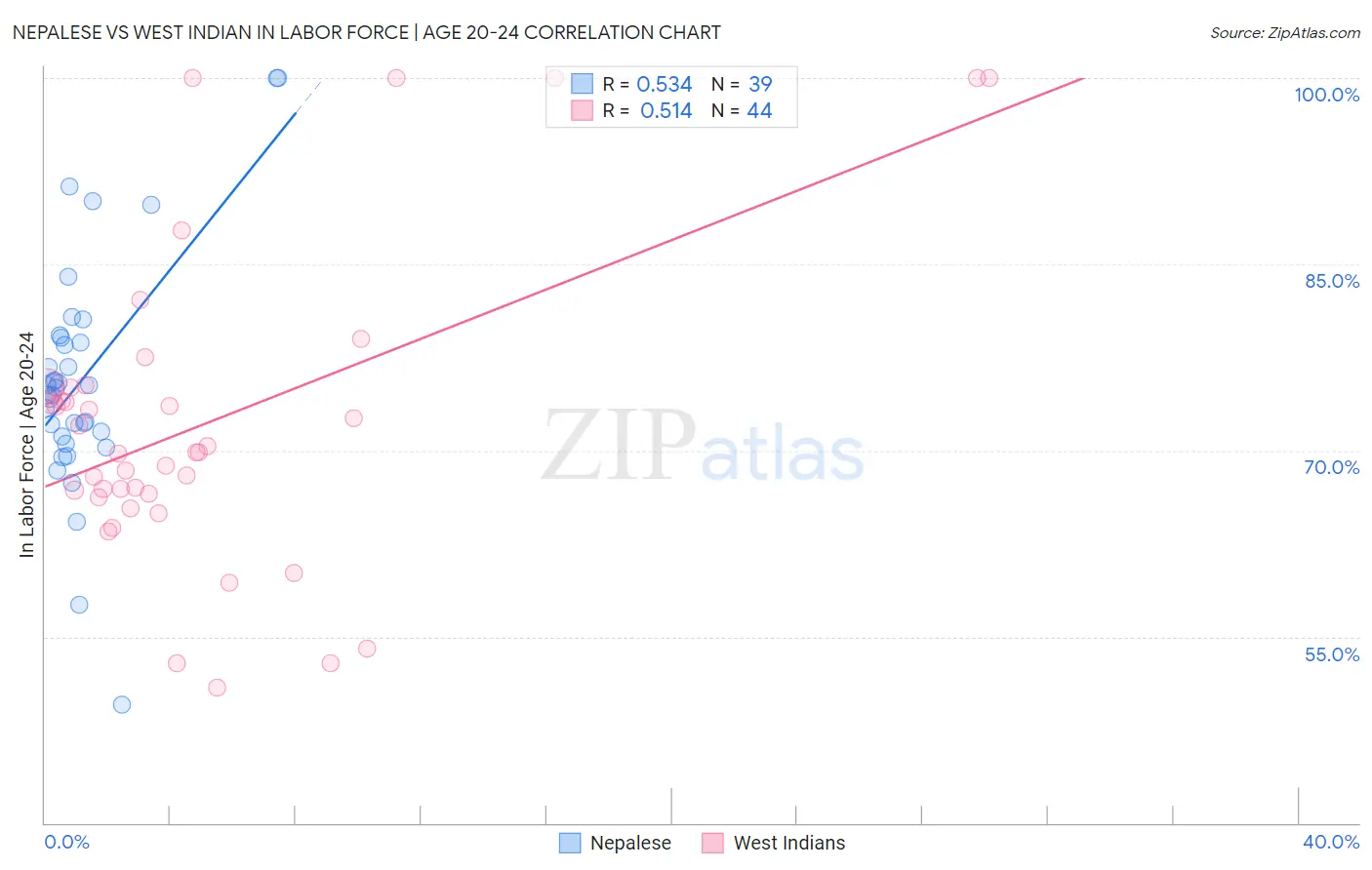 Nepalese vs West Indian In Labor Force | Age 20-24