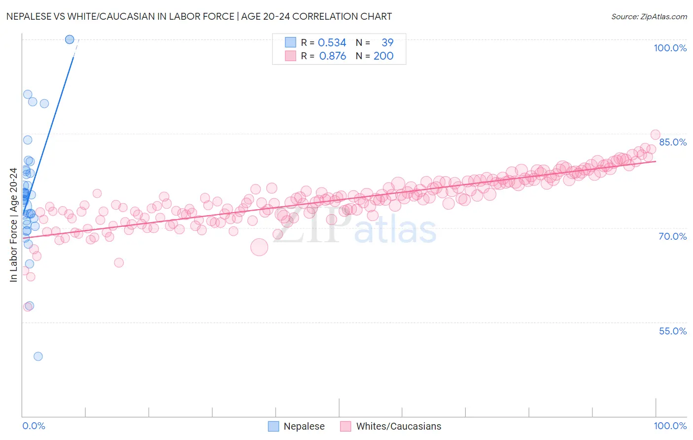 Nepalese vs White/Caucasian In Labor Force | Age 20-24