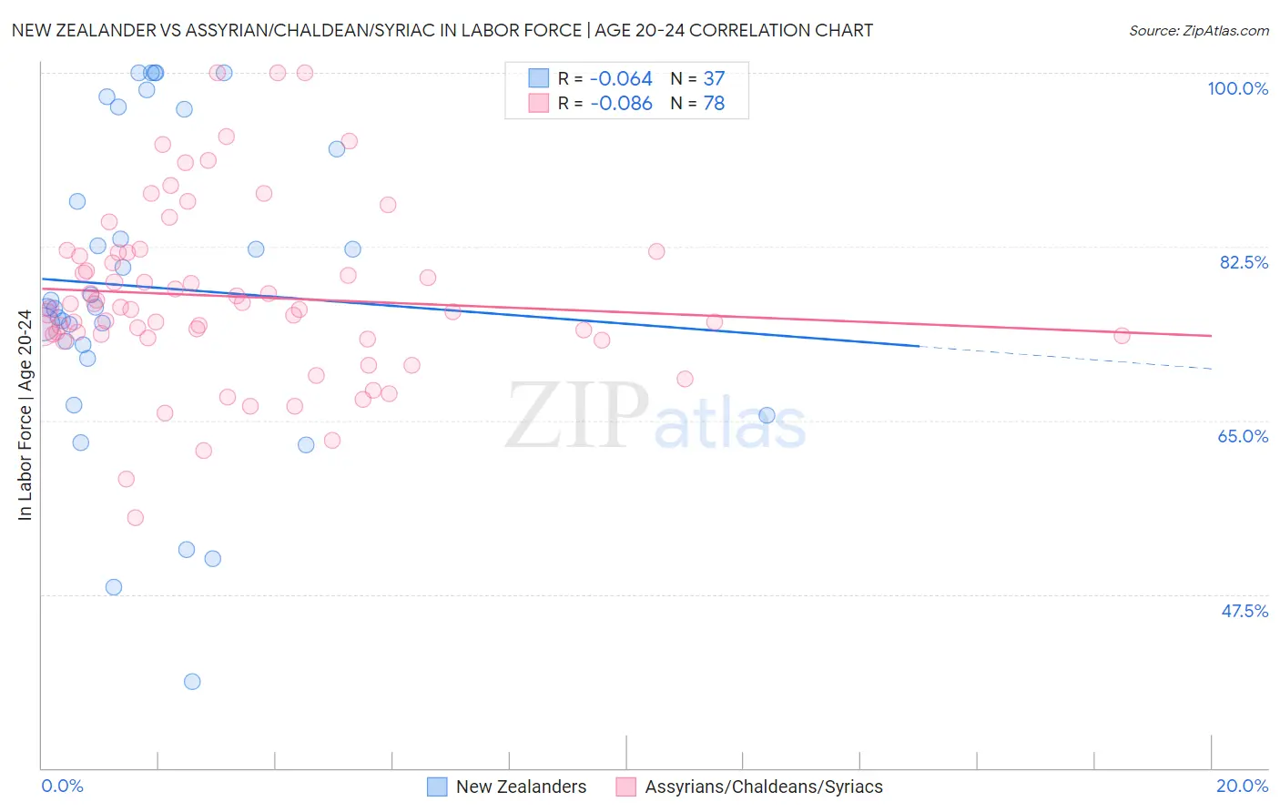 New Zealander vs Assyrian/Chaldean/Syriac In Labor Force | Age 20-24