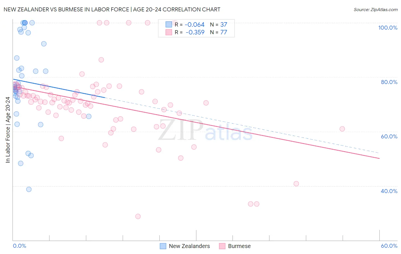 New Zealander vs Burmese In Labor Force | Age 20-24