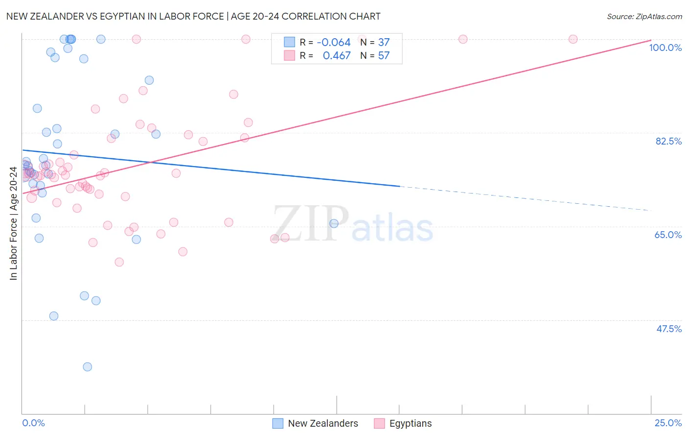 New Zealander vs Egyptian In Labor Force | Age 20-24