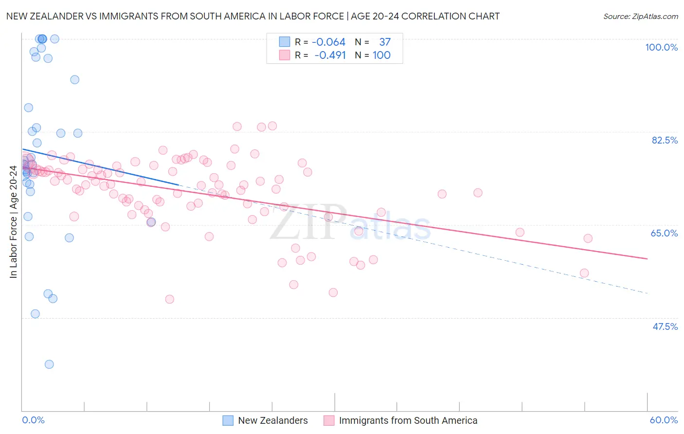 New Zealander vs Immigrants from South America In Labor Force | Age 20-24