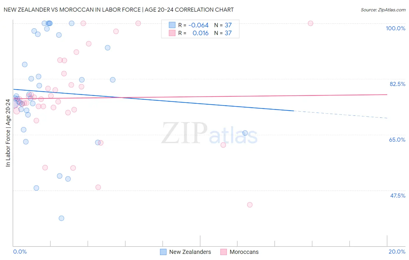 New Zealander vs Moroccan In Labor Force | Age 20-24