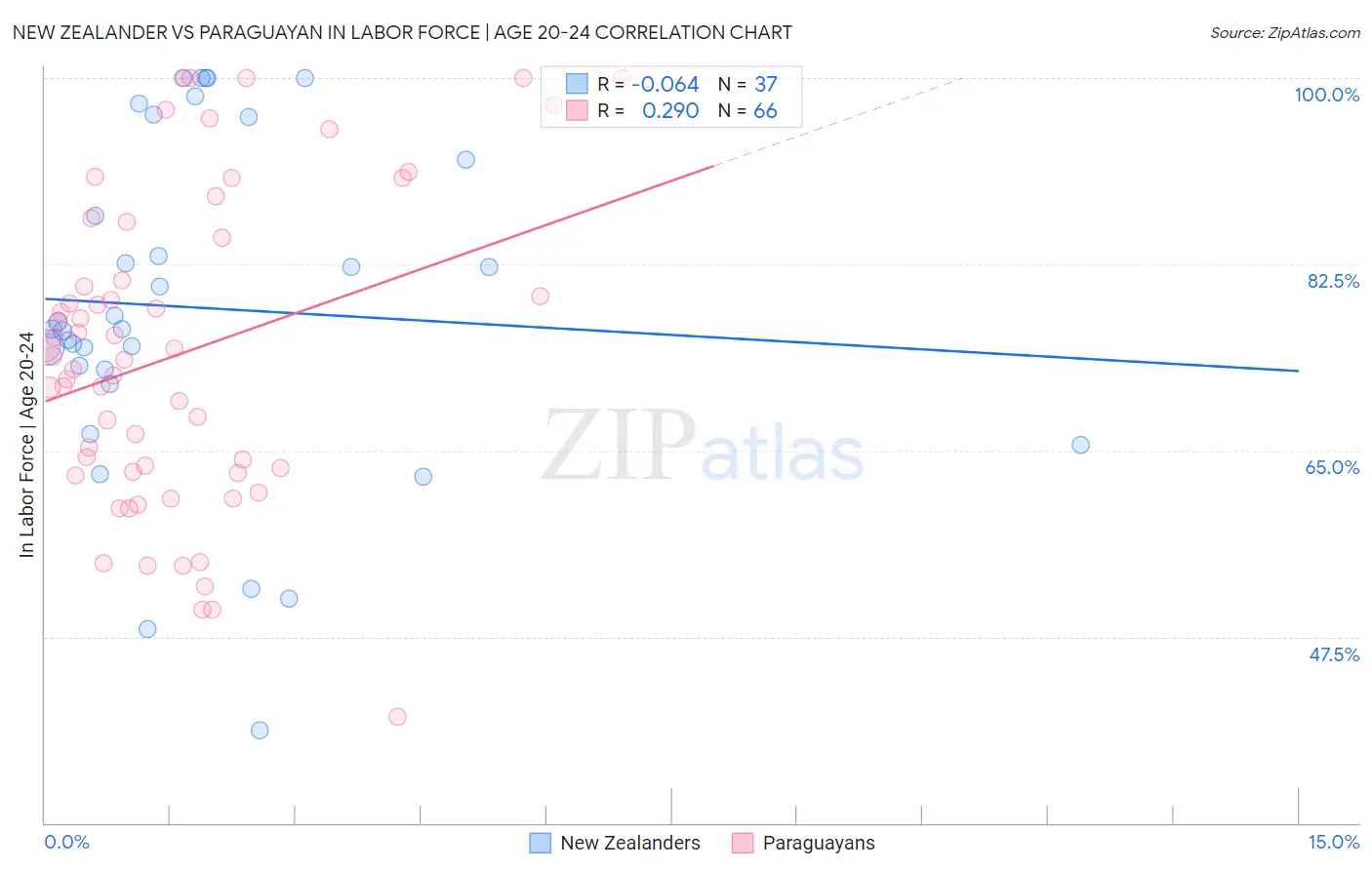 New Zealander vs Paraguayan In Labor Force | Age 20-24