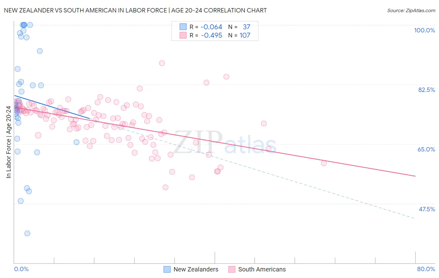 New Zealander vs South American In Labor Force | Age 20-24