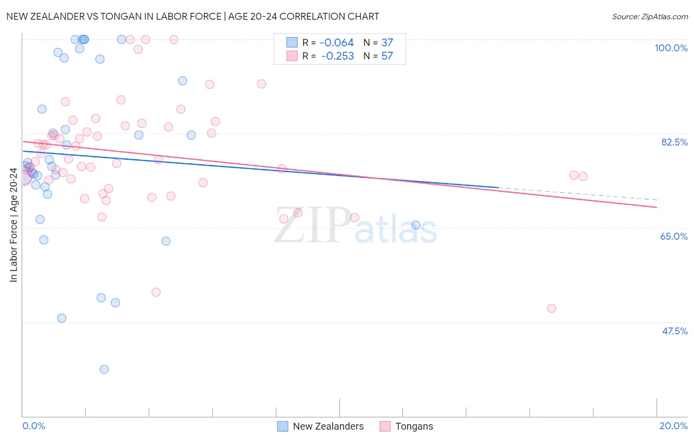 New Zealander vs Tongan In Labor Force | Age 20-24