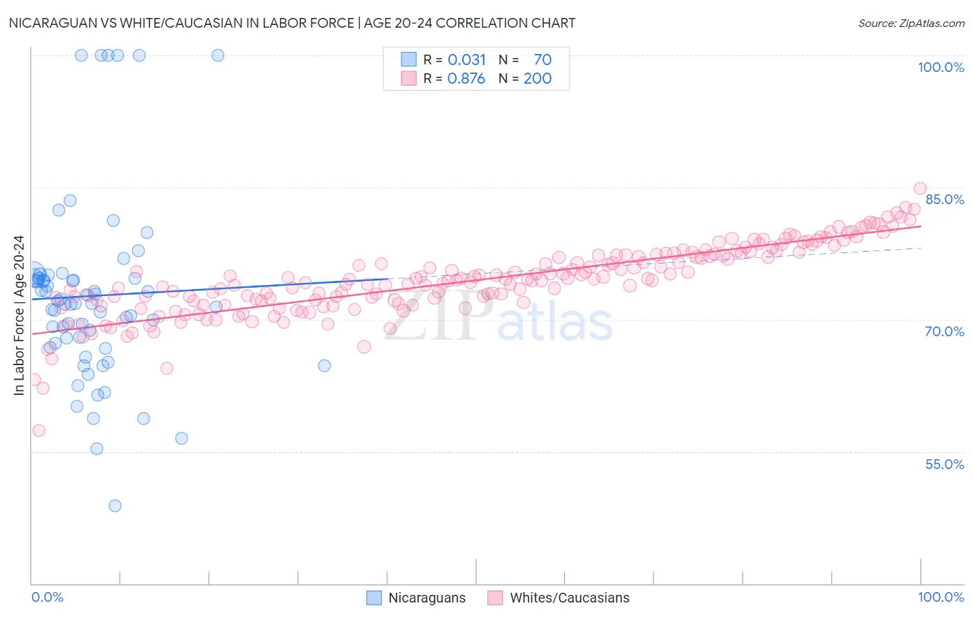 Nicaraguan vs White/Caucasian In Labor Force | Age 20-24