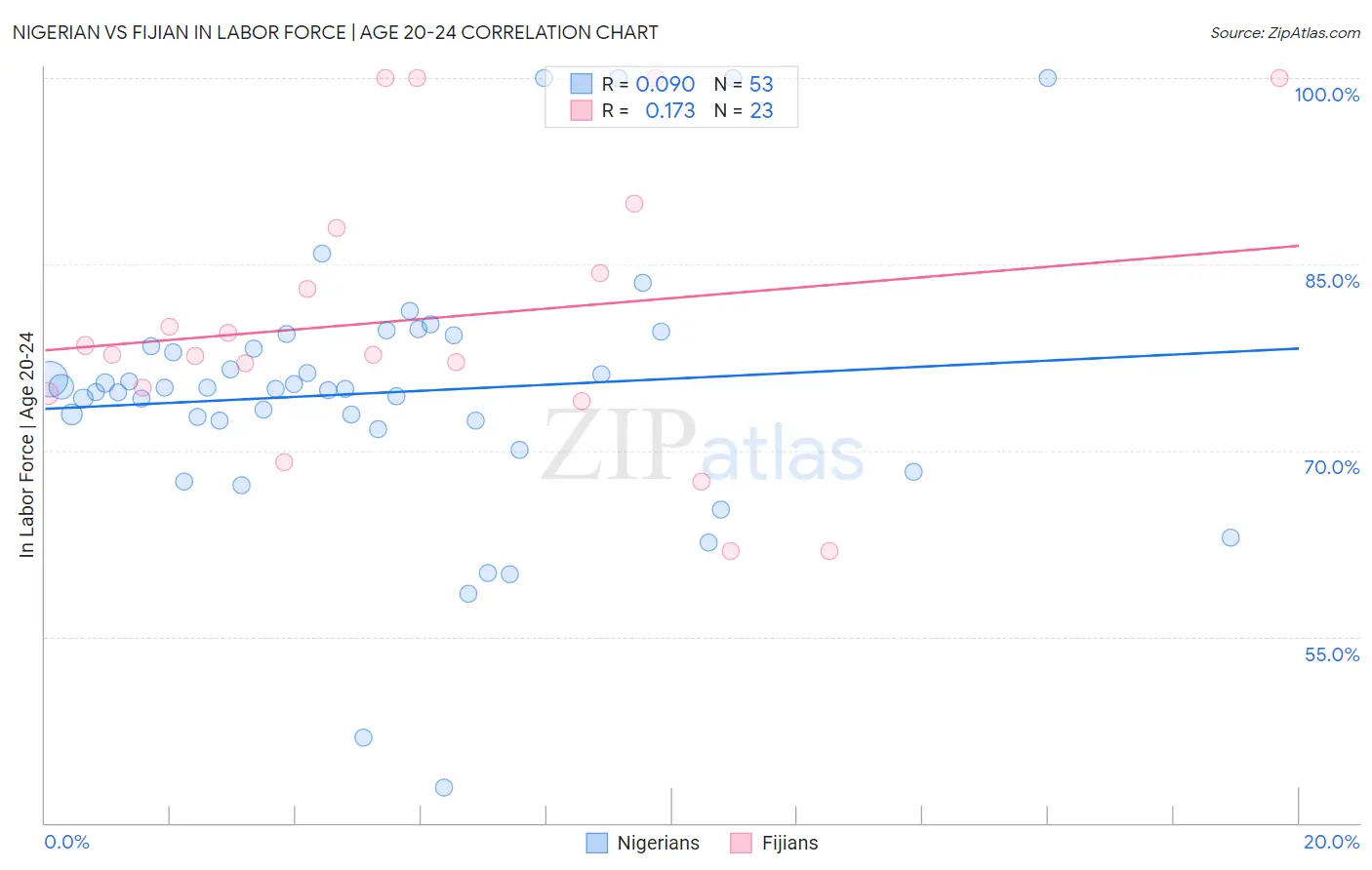 Nigerian vs Fijian In Labor Force | Age 20-24