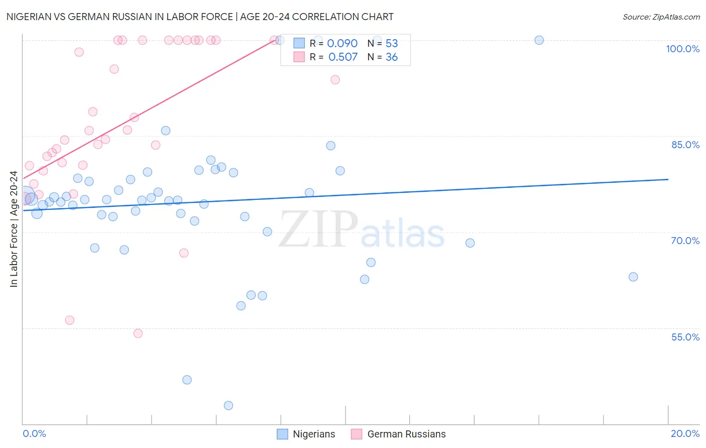 Nigerian vs German Russian In Labor Force | Age 20-24