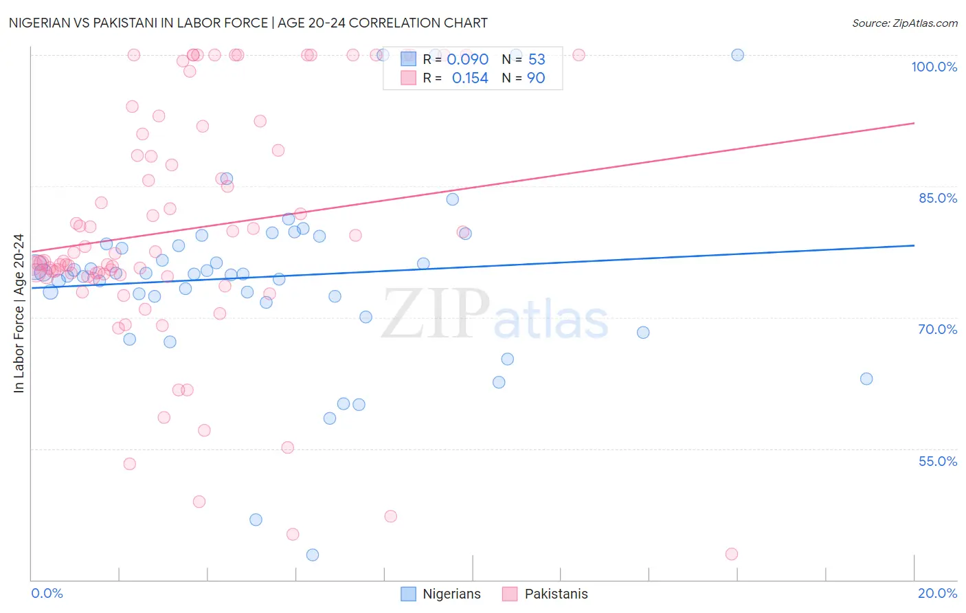 Nigerian vs Pakistani In Labor Force | Age 20-24