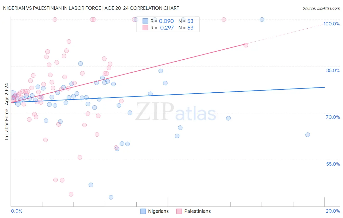 Nigerian vs Palestinian In Labor Force | Age 20-24