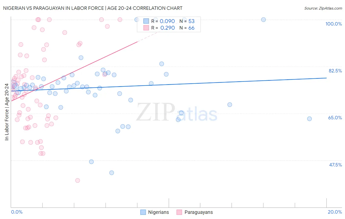 Nigerian vs Paraguayan In Labor Force | Age 20-24