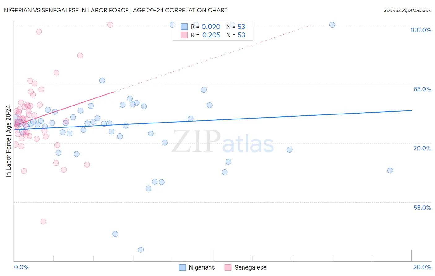 Nigerian vs Senegalese In Labor Force | Age 20-24