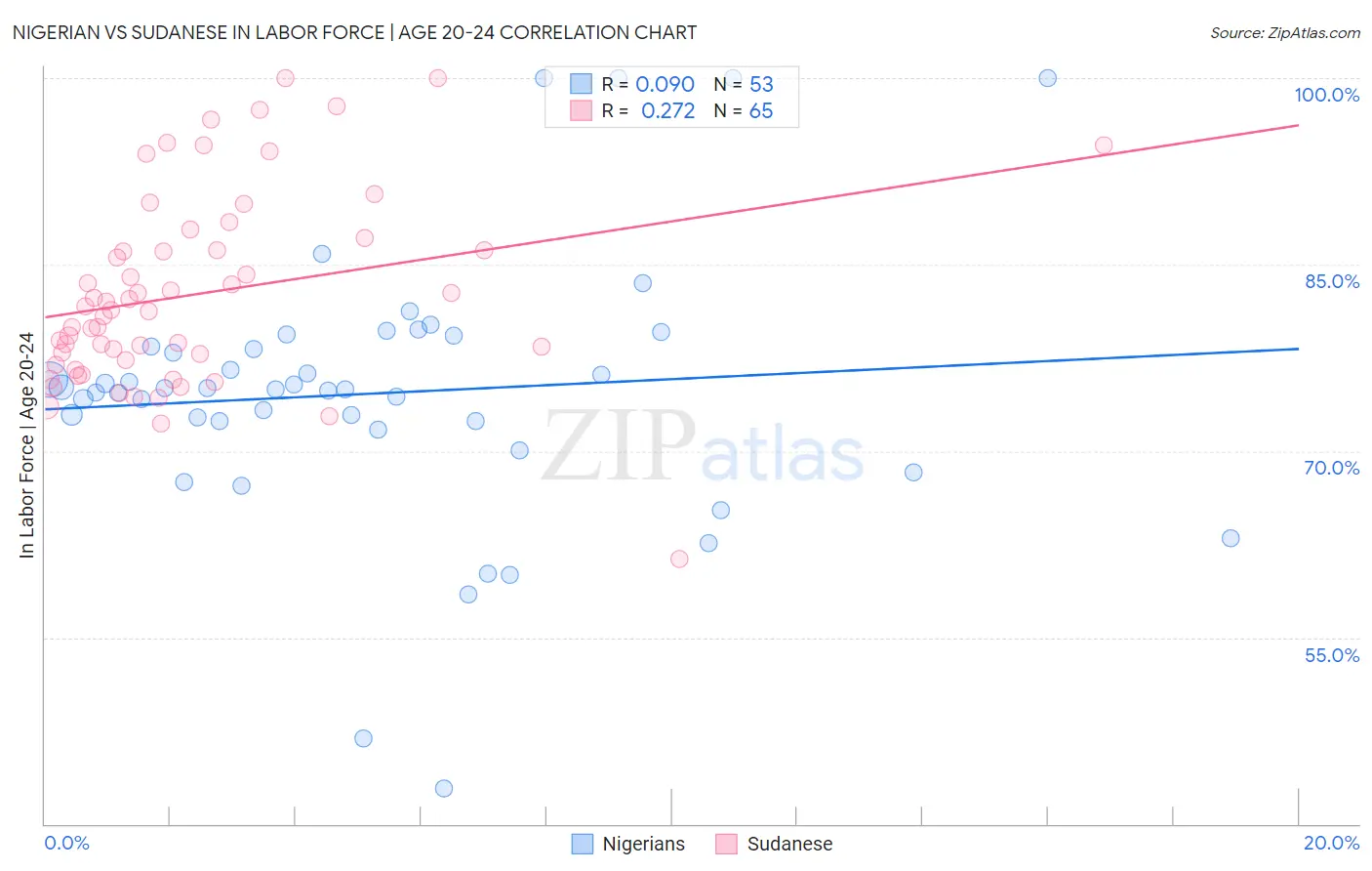 Nigerian vs Sudanese In Labor Force | Age 20-24