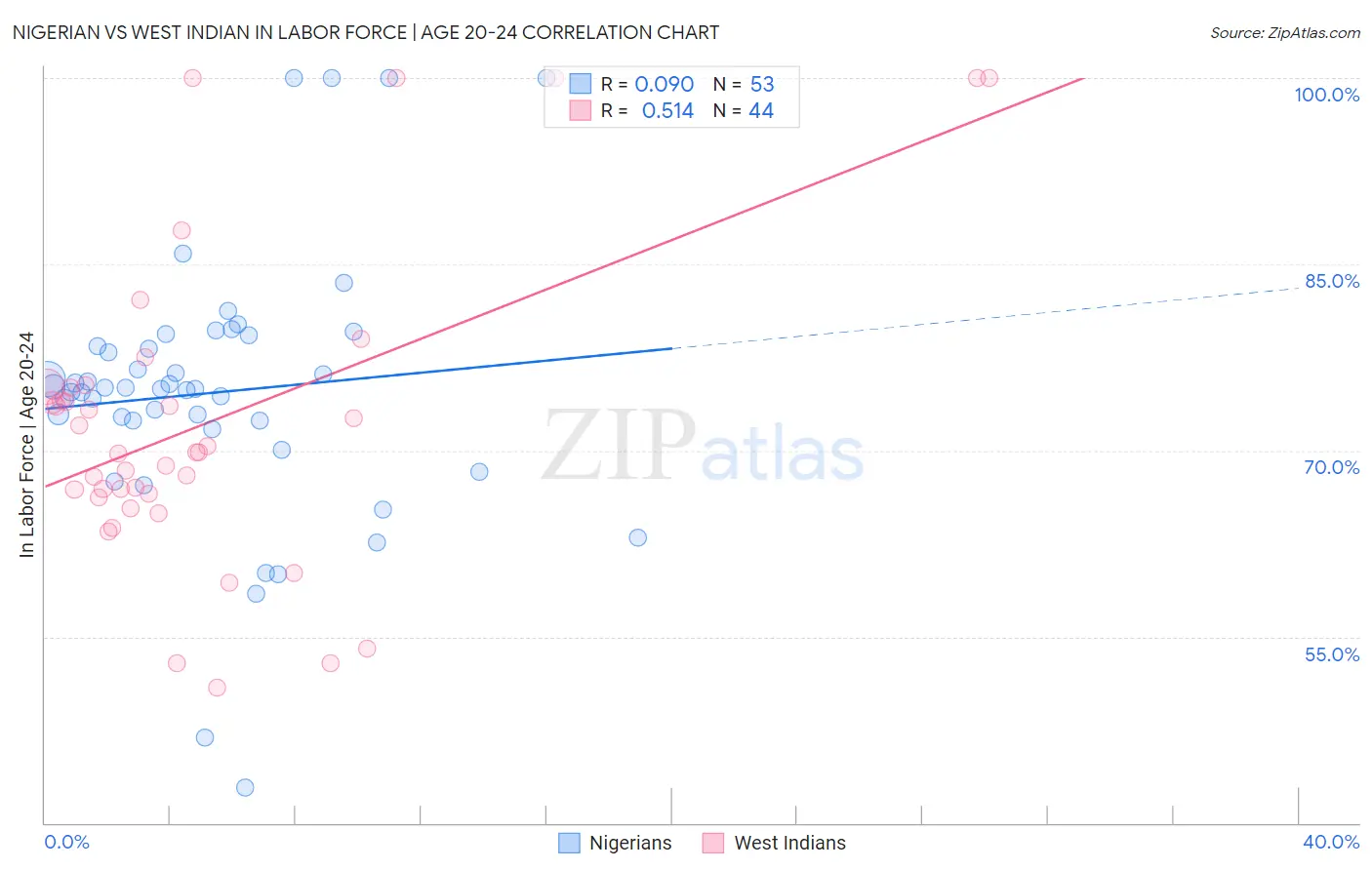 Nigerian vs West Indian In Labor Force | Age 20-24