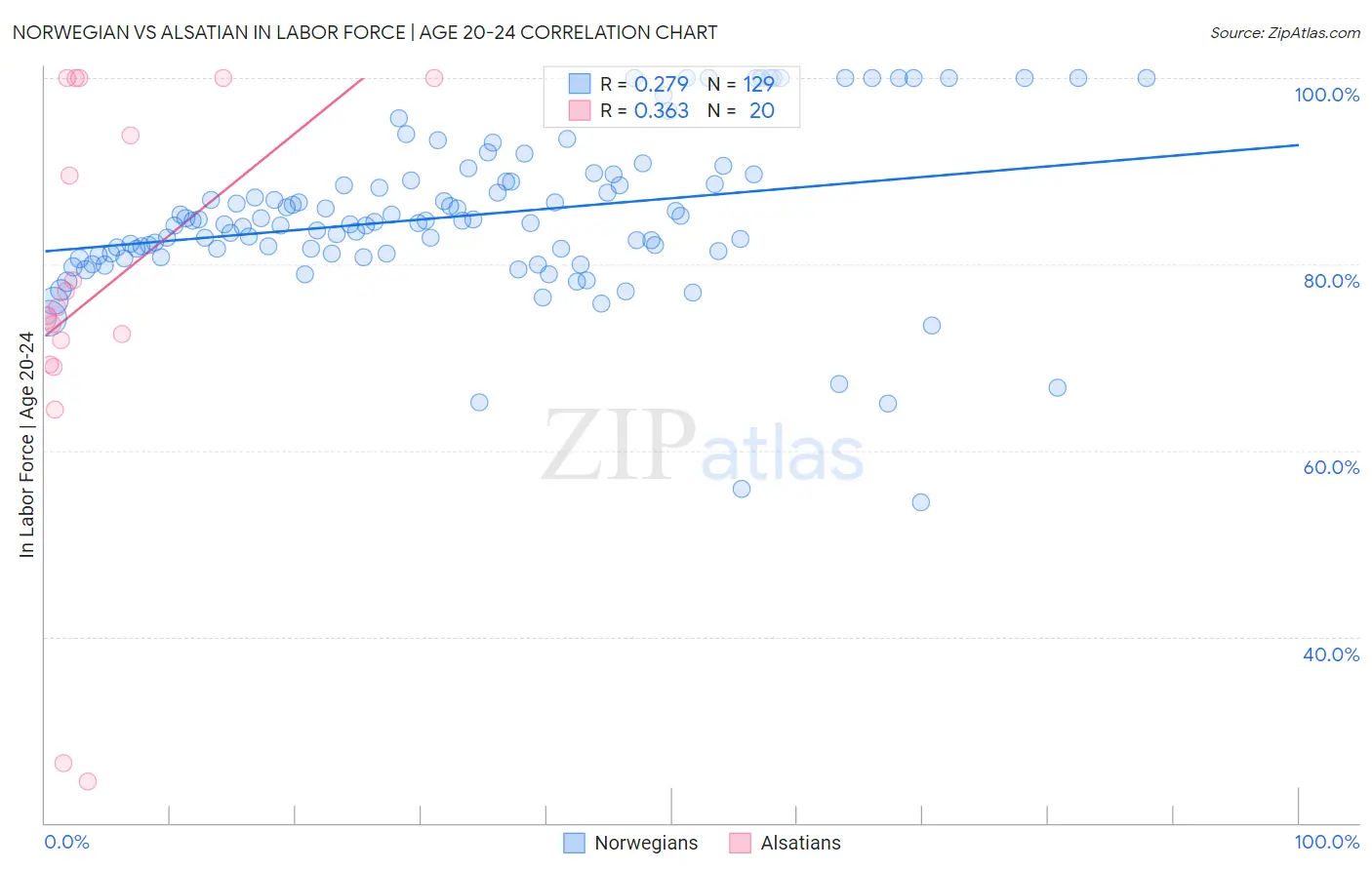 Norwegian vs Alsatian In Labor Force | Age 20-24