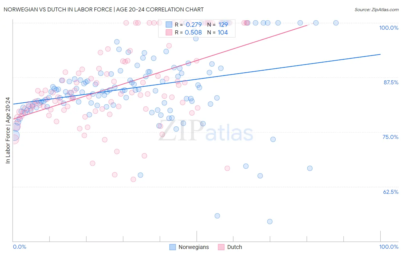 Norwegian vs Dutch In Labor Force | Age 20-24