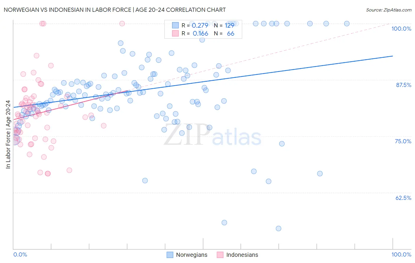 Norwegian vs Indonesian In Labor Force | Age 20-24