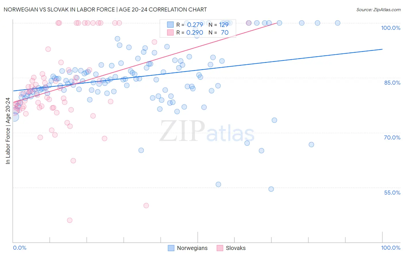 Norwegian vs Slovak In Labor Force | Age 20-24