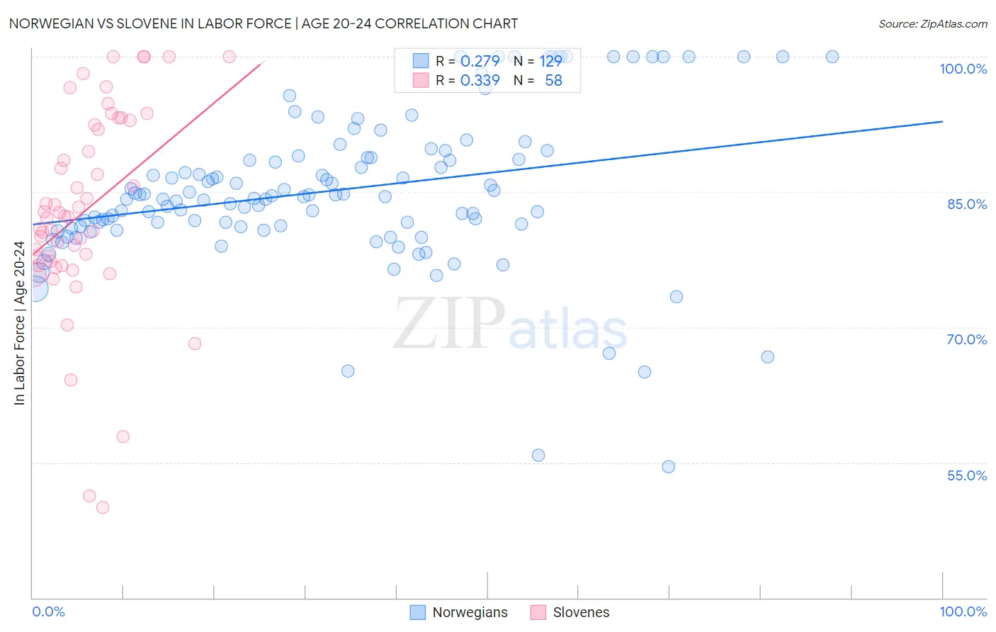 Norwegian vs Slovene In Labor Force | Age 20-24