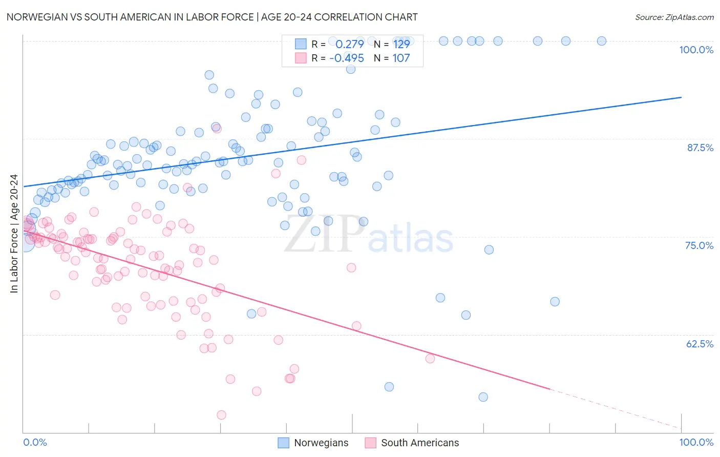 Norwegian vs South American In Labor Force | Age 20-24