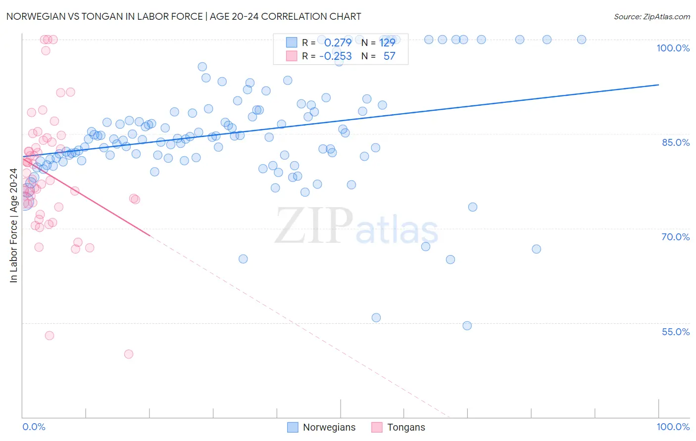 Norwegian vs Tongan In Labor Force | Age 20-24