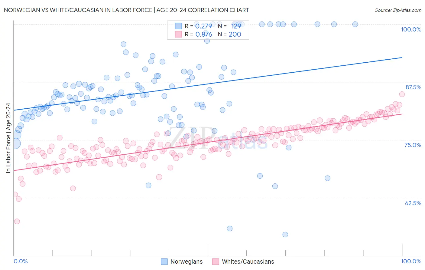 Norwegian vs White/Caucasian In Labor Force | Age 20-24