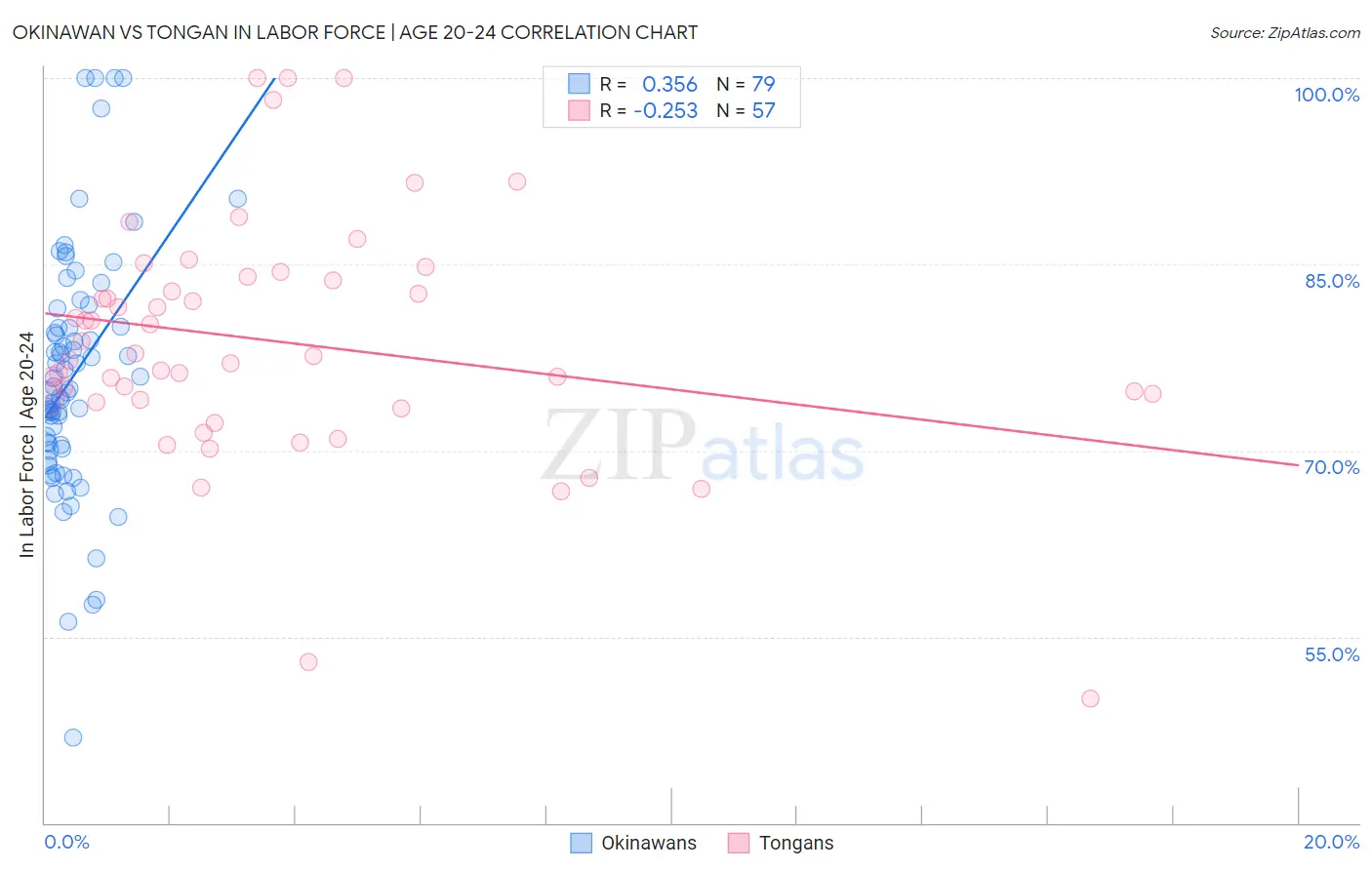 Okinawan vs Tongan In Labor Force | Age 20-24