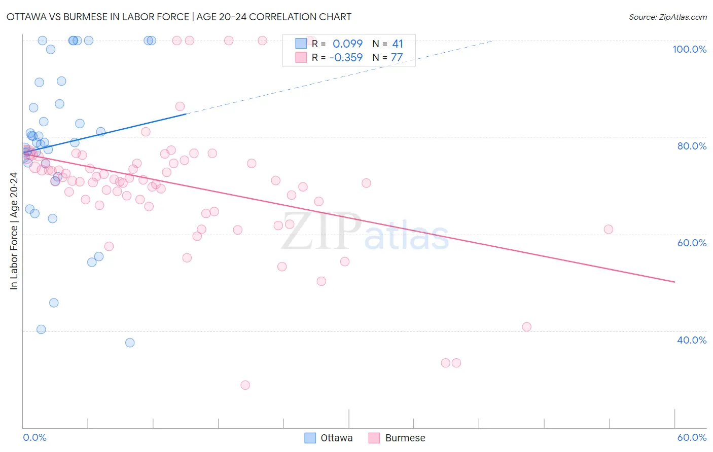 Ottawa vs Burmese In Labor Force | Age 20-24