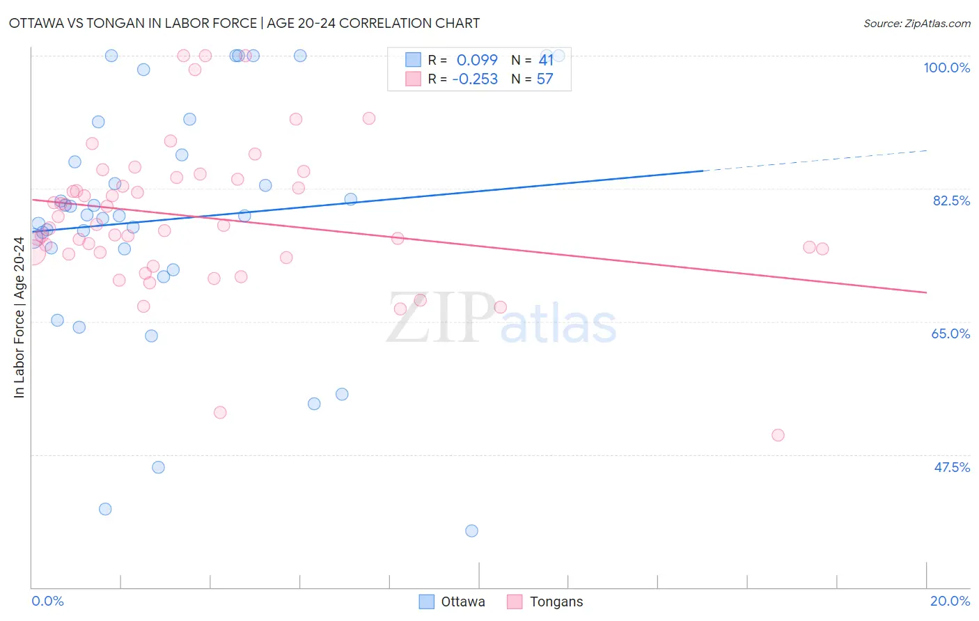 Ottawa vs Tongan In Labor Force | Age 20-24