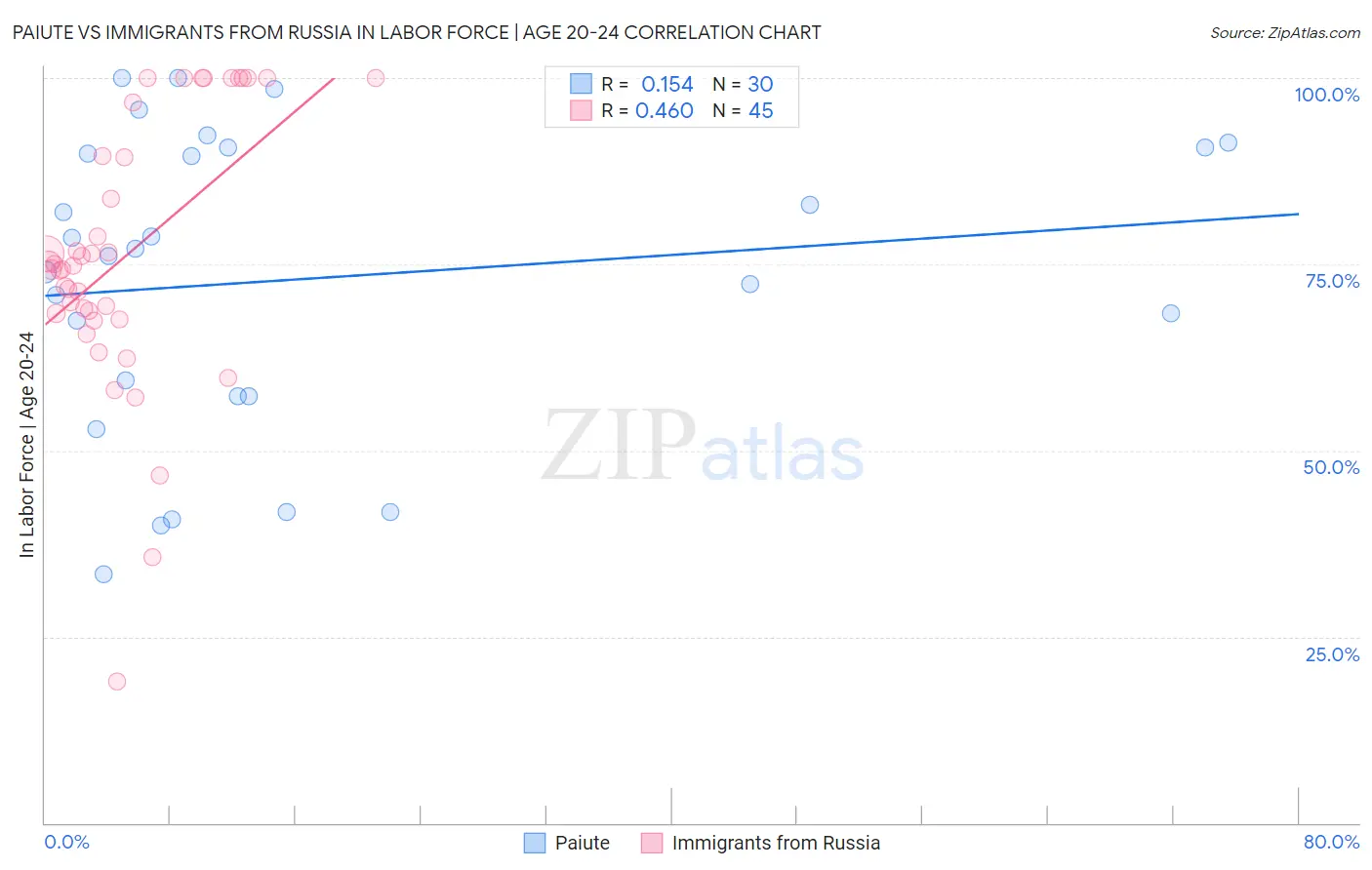 Paiute vs Immigrants from Russia In Labor Force | Age 20-24