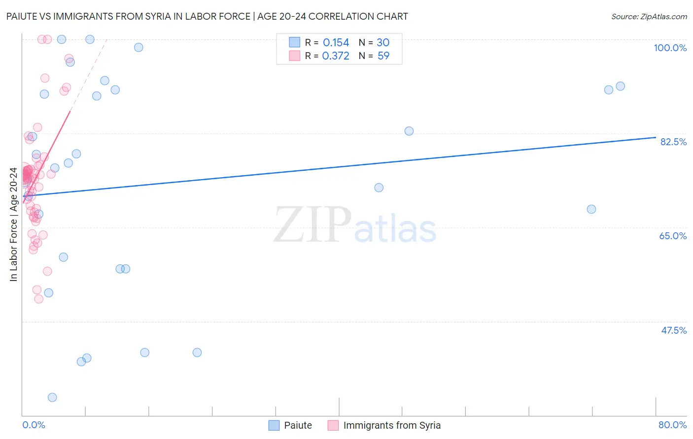 Paiute vs Immigrants from Syria In Labor Force | Age 20-24