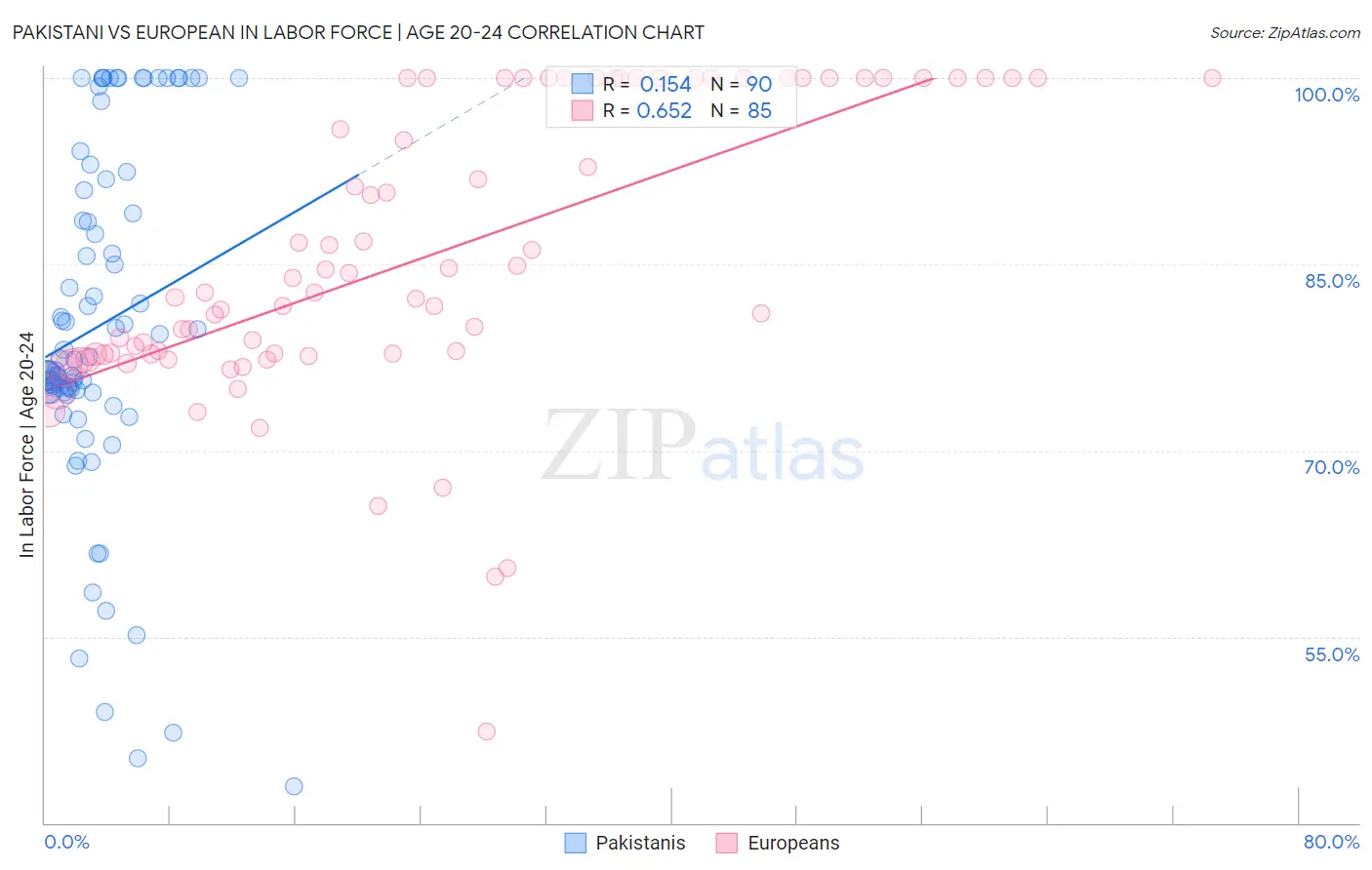 Pakistani vs European In Labor Force | Age 20-24