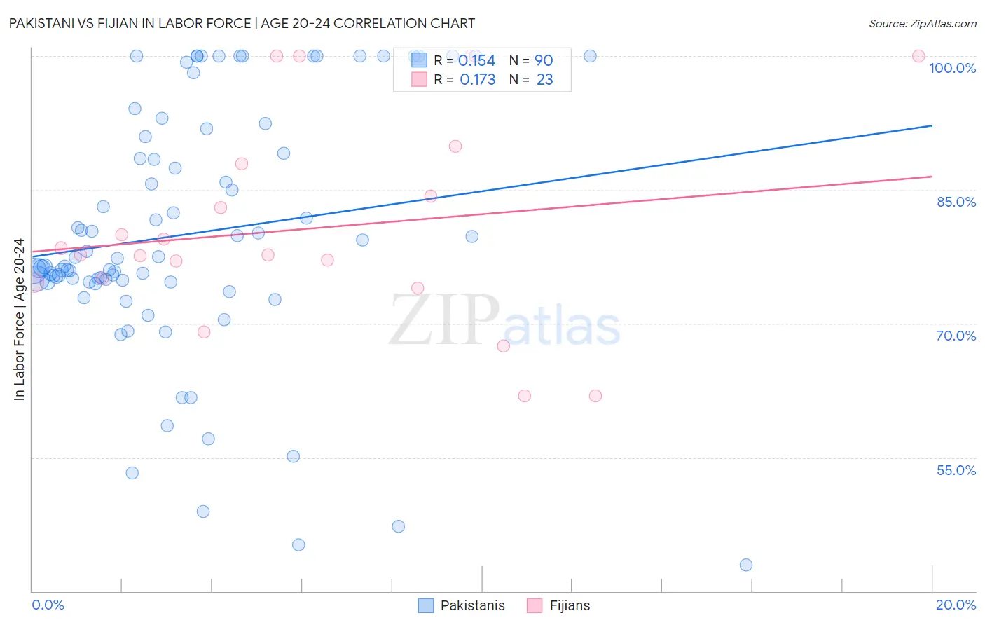 Pakistani vs Fijian In Labor Force | Age 20-24