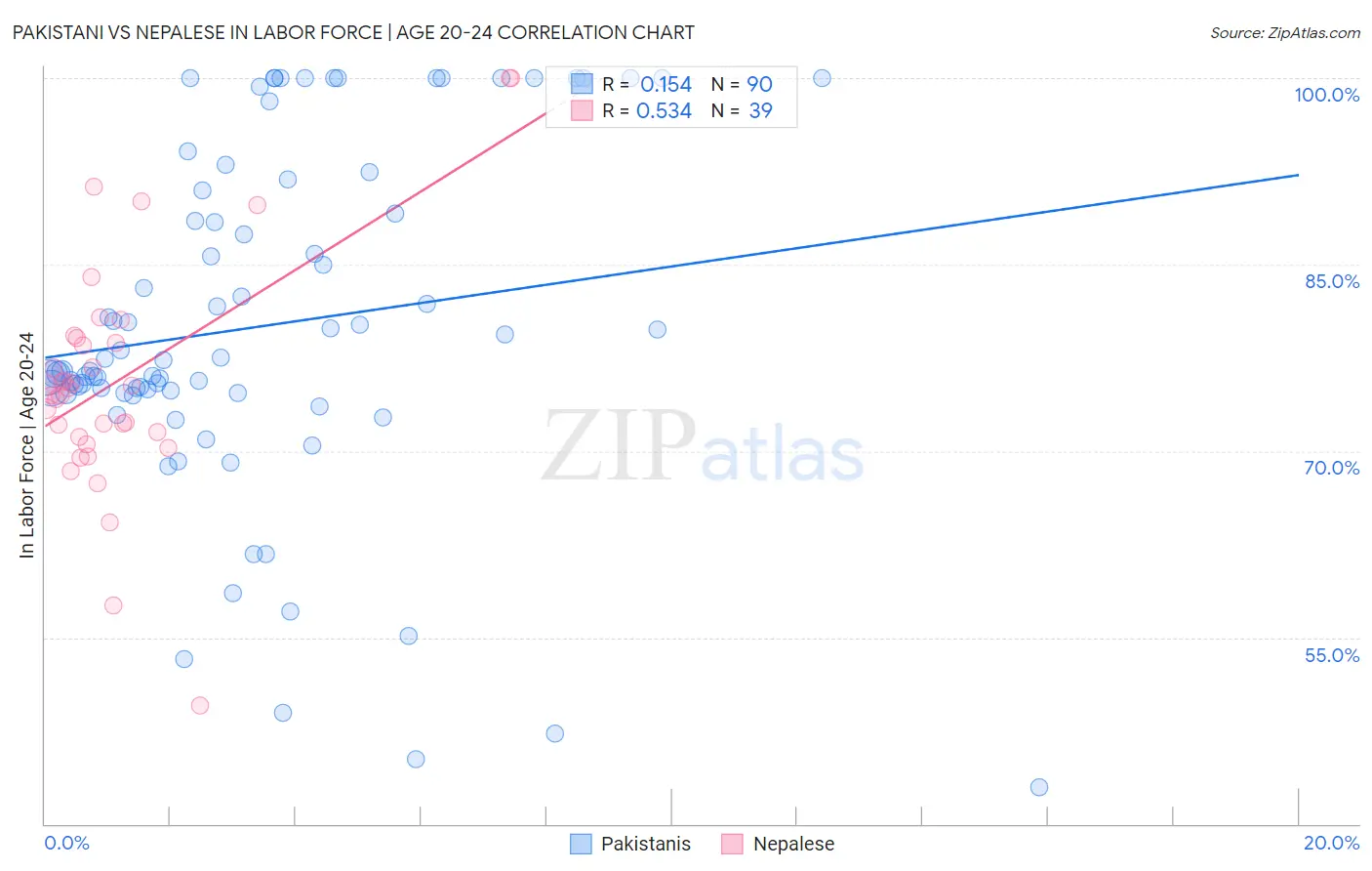 Pakistani vs Nepalese In Labor Force | Age 20-24