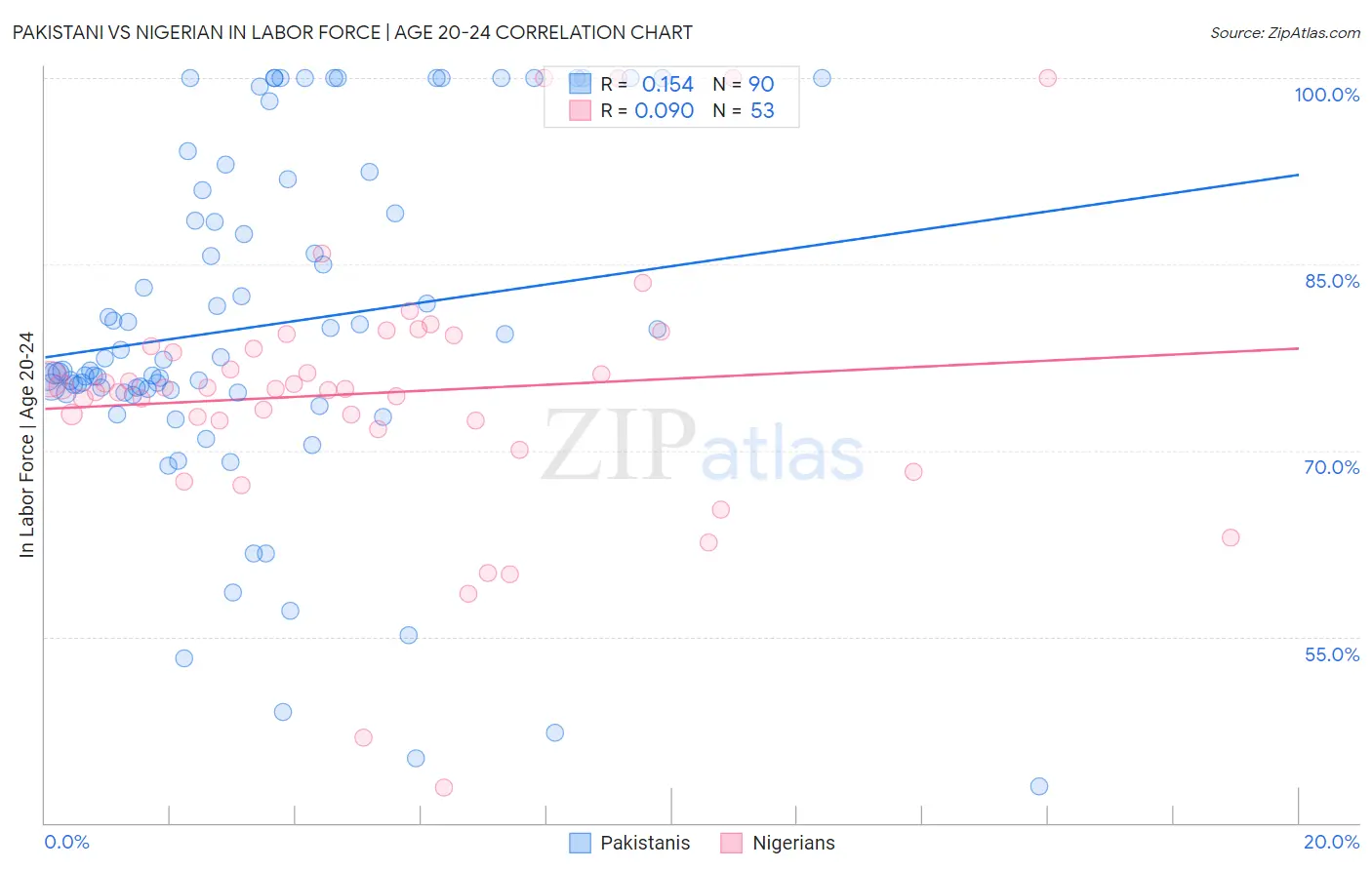 Pakistani vs Nigerian In Labor Force | Age 20-24