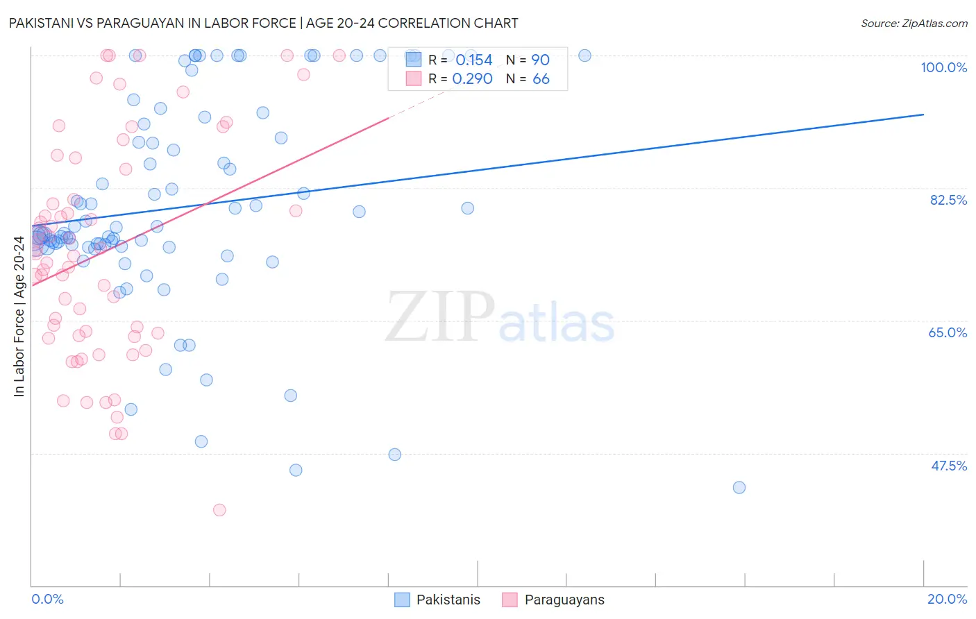 Pakistani vs Paraguayan In Labor Force | Age 20-24