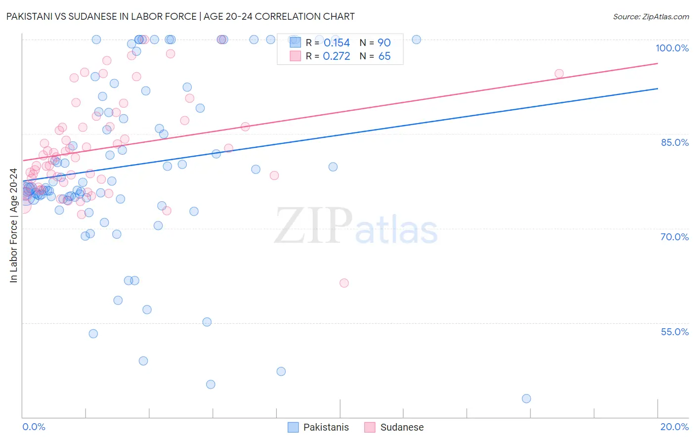 Pakistani vs Sudanese In Labor Force | Age 20-24