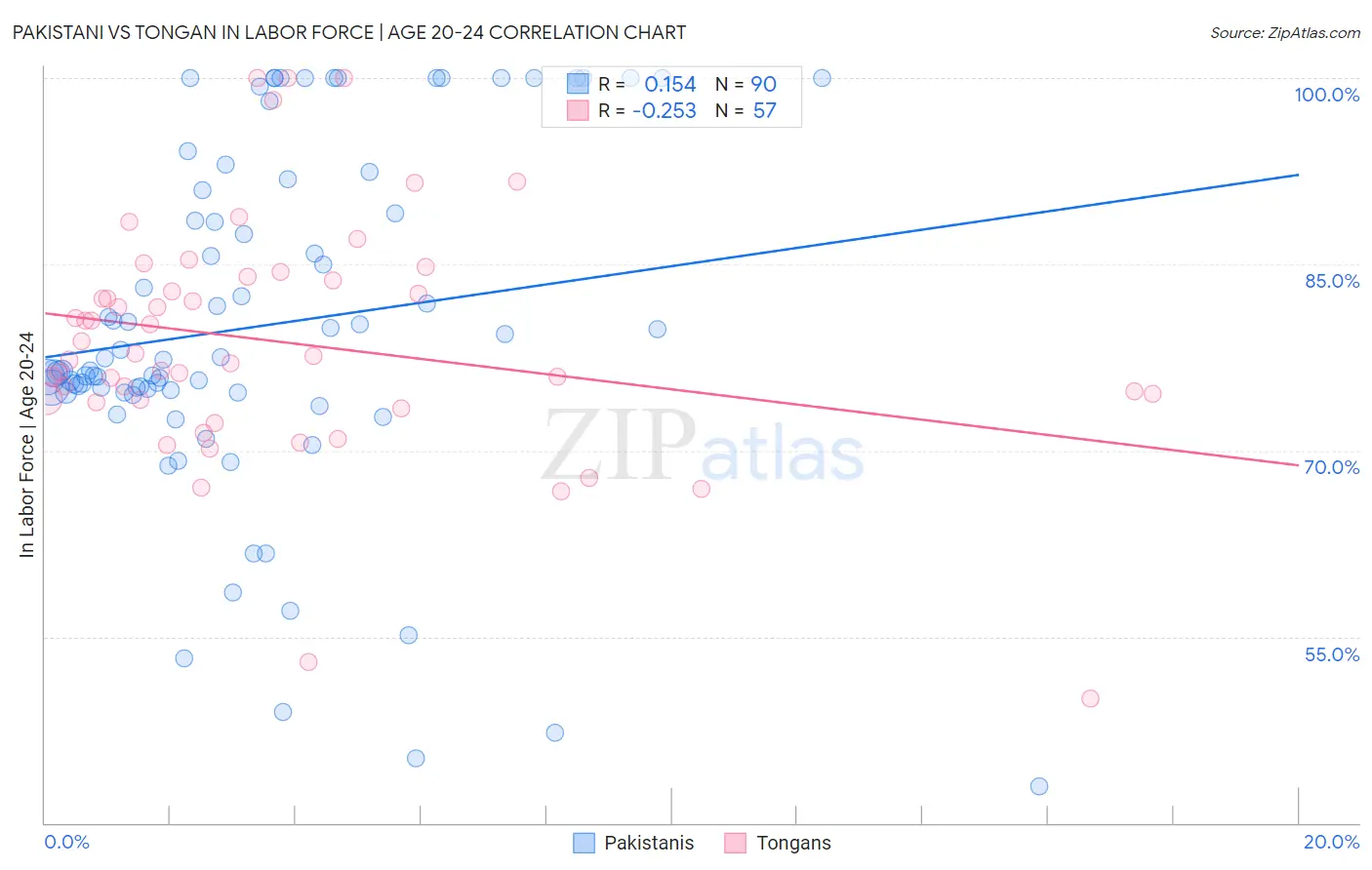 Pakistani vs Tongan In Labor Force | Age 20-24