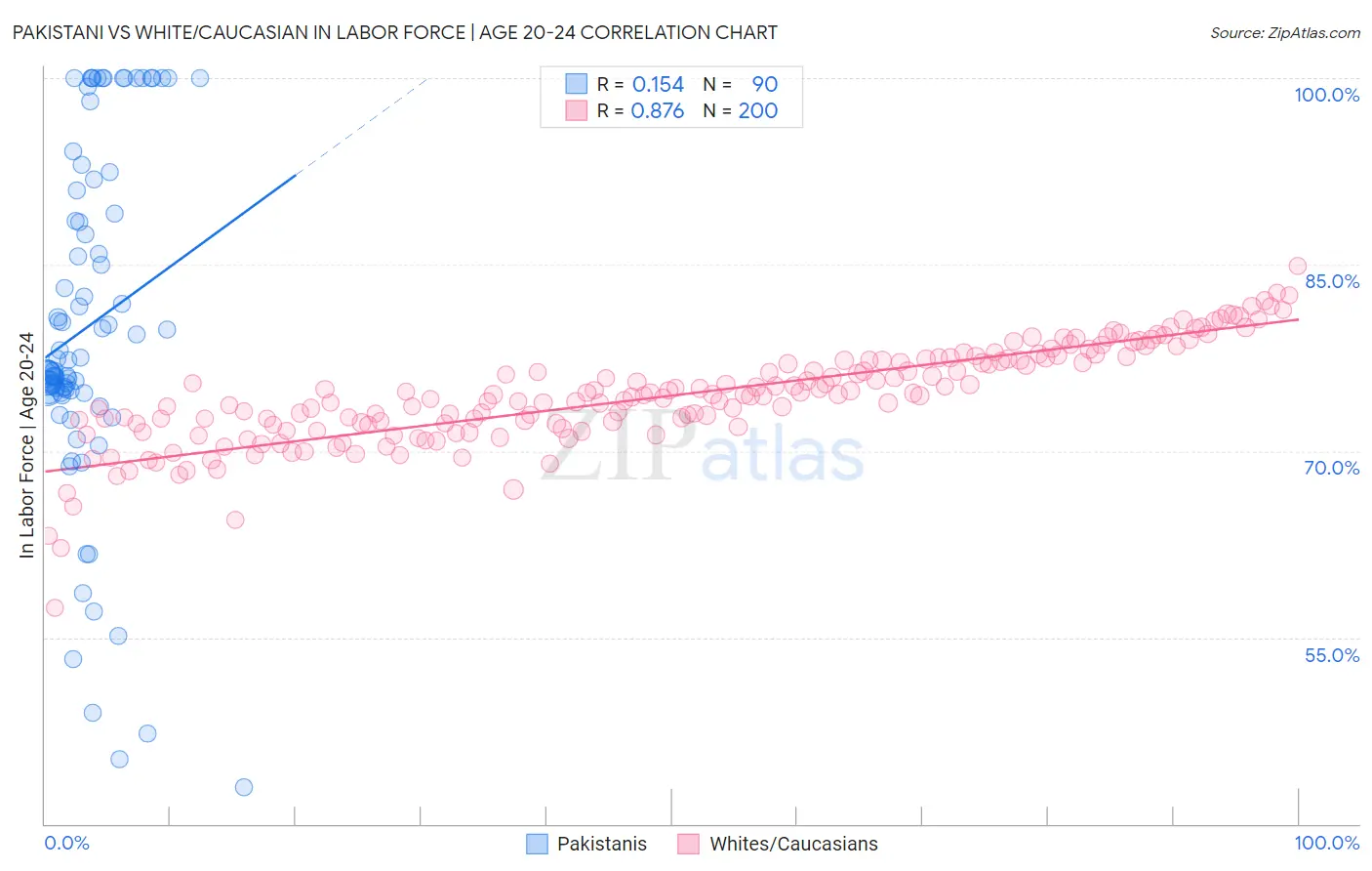 Pakistani vs White/Caucasian In Labor Force | Age 20-24