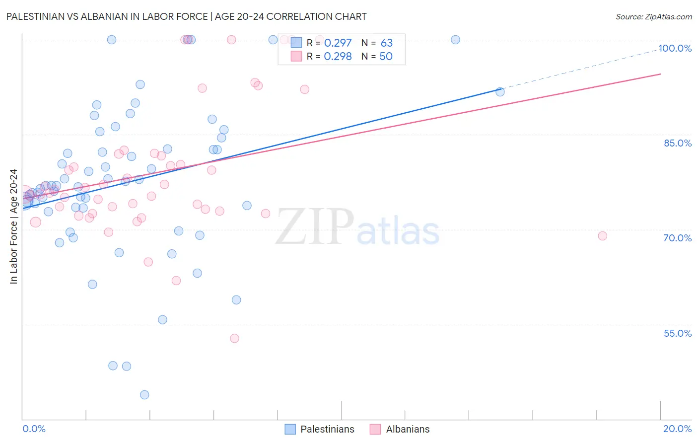 Palestinian vs Albanian In Labor Force | Age 20-24