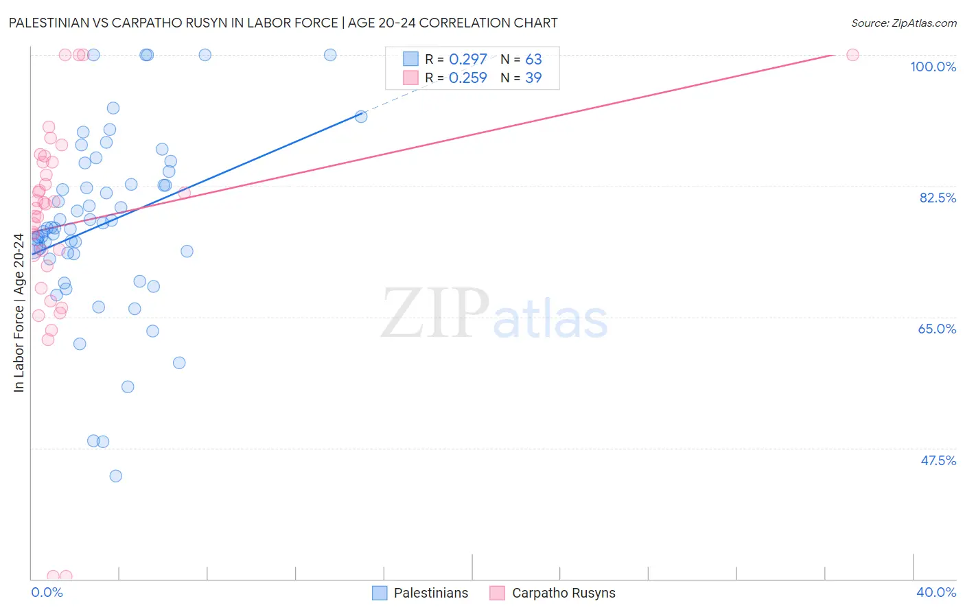 Palestinian vs Carpatho Rusyn In Labor Force | Age 20-24