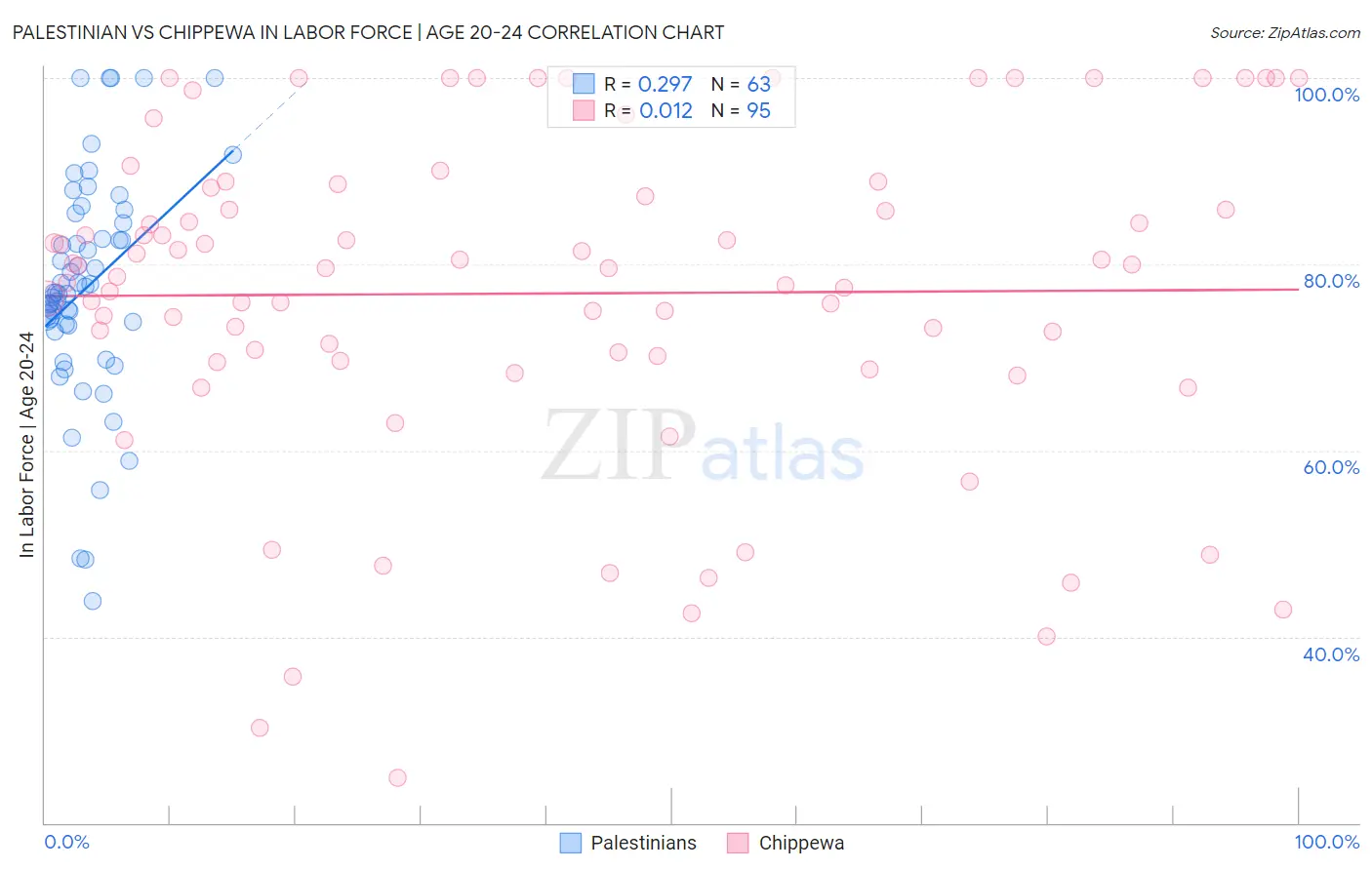 Palestinian vs Chippewa In Labor Force | Age 20-24