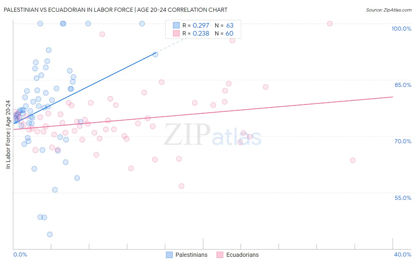 Palestinian vs Ecuadorian In Labor Force | Age 20-24