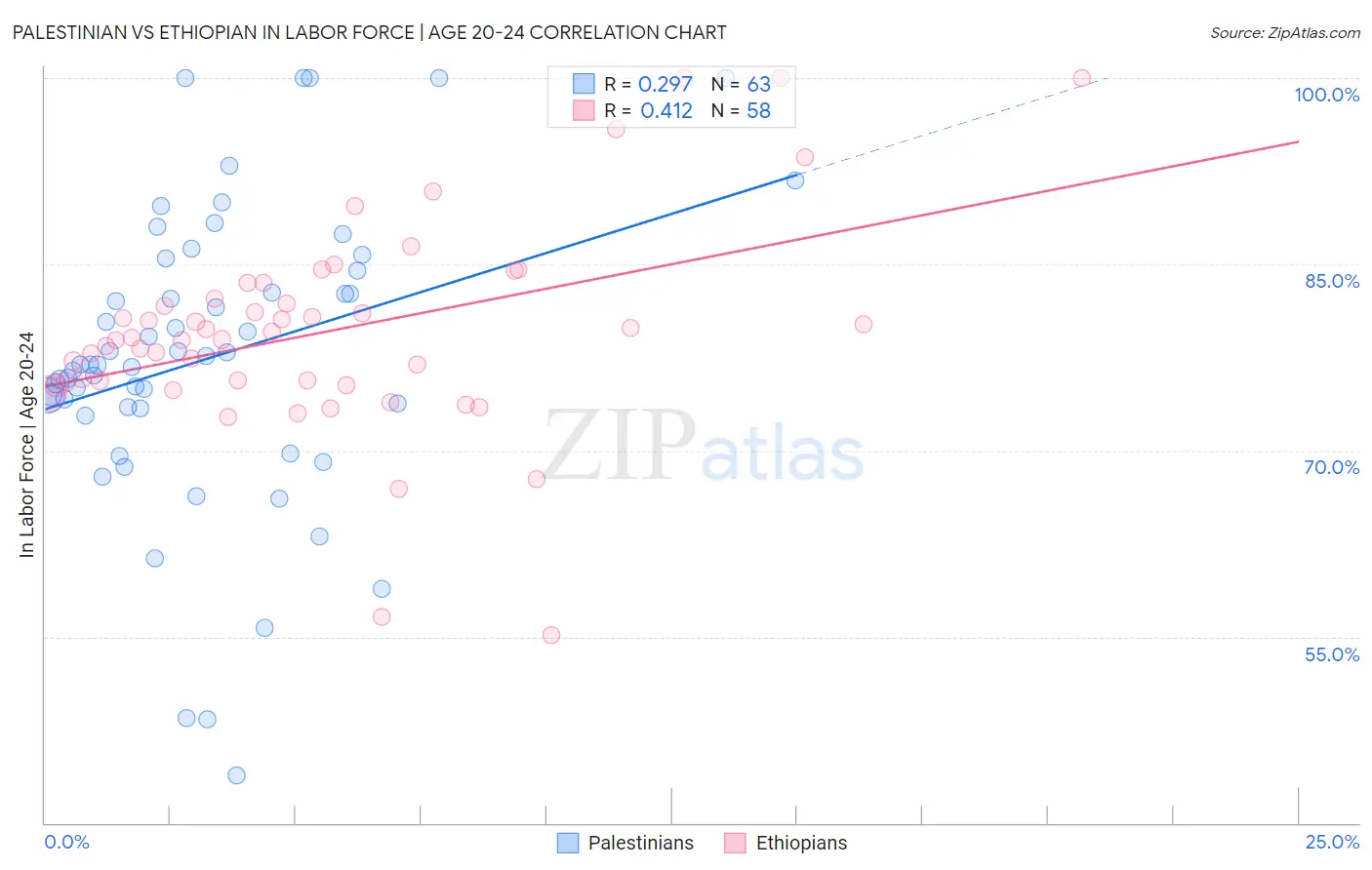 Palestinian vs Ethiopian In Labor Force | Age 20-24