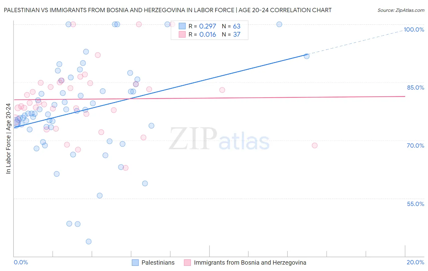 Palestinian vs Immigrants from Bosnia and Herzegovina In Labor Force | Age 20-24