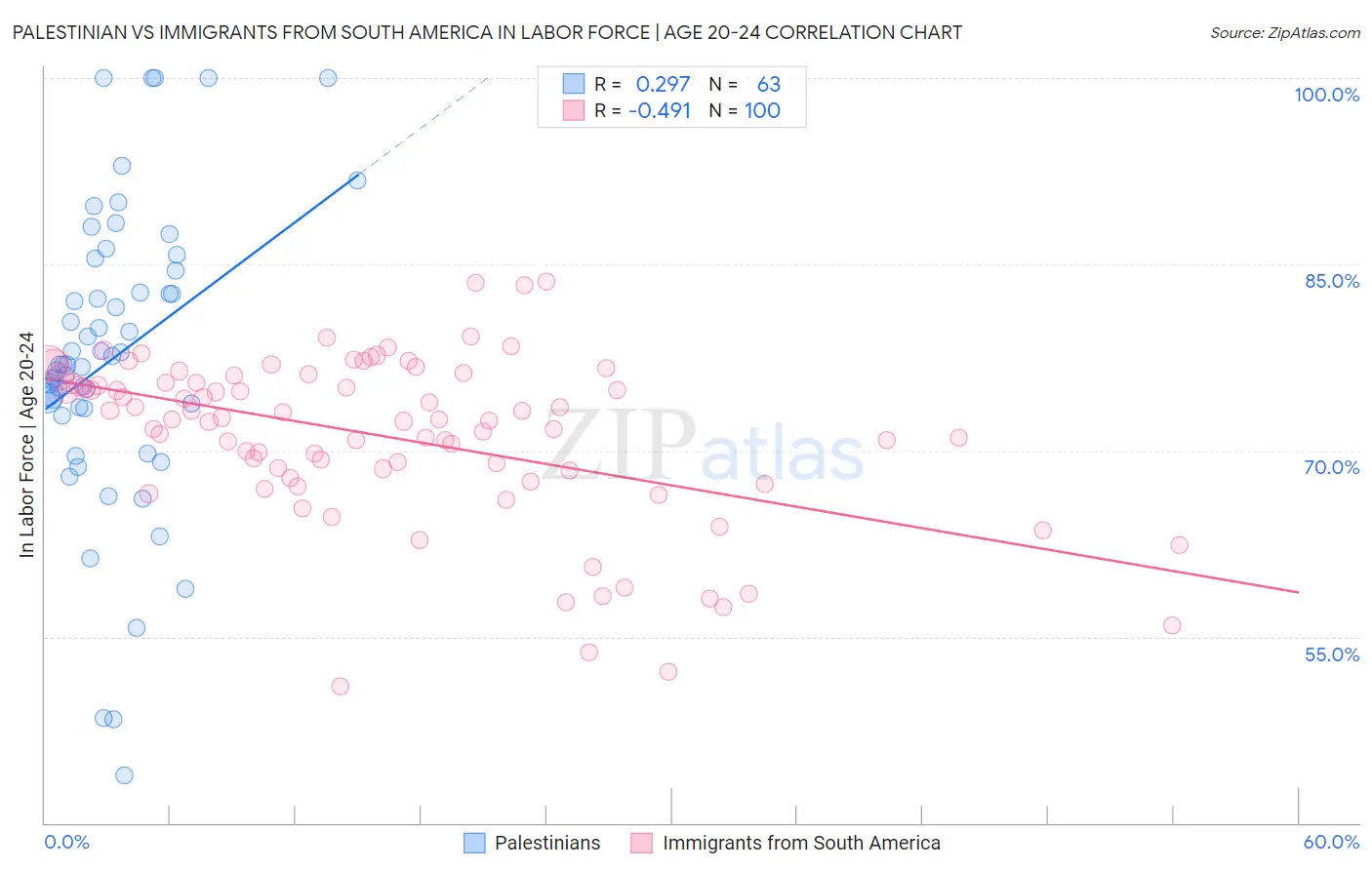 Palestinian vs Immigrants from South America In Labor Force | Age 20-24