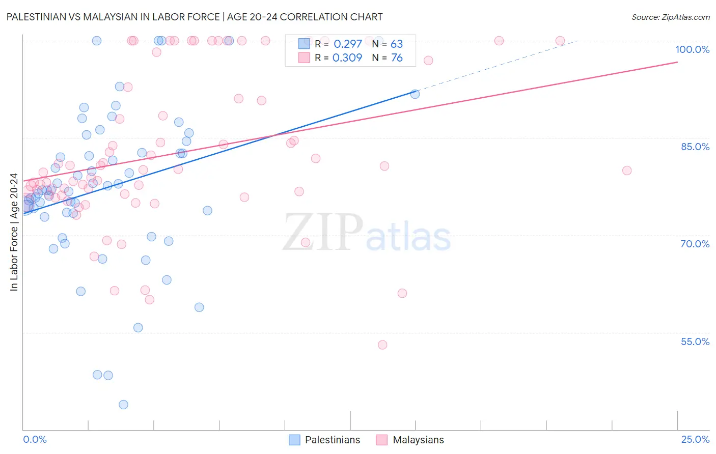 Palestinian vs Malaysian In Labor Force | Age 20-24