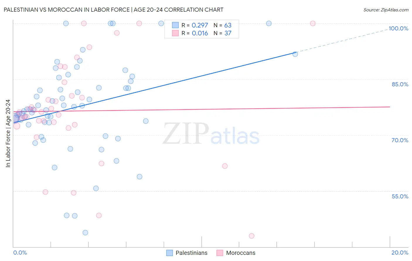 Palestinian vs Moroccan In Labor Force | Age 20-24